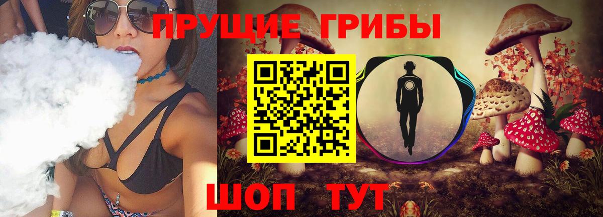 Галлюциногенные грибы Psilocybine cubensis Кушва